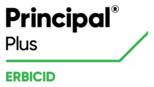 Principal Plus