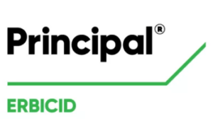 Principal